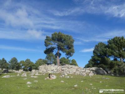Comida Navidad - Los 13 Roeles; la panera madrid madrid cercedilla embalse de riosequillo pueblo de 